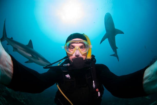 Dangerous Selfies Taken Across World
