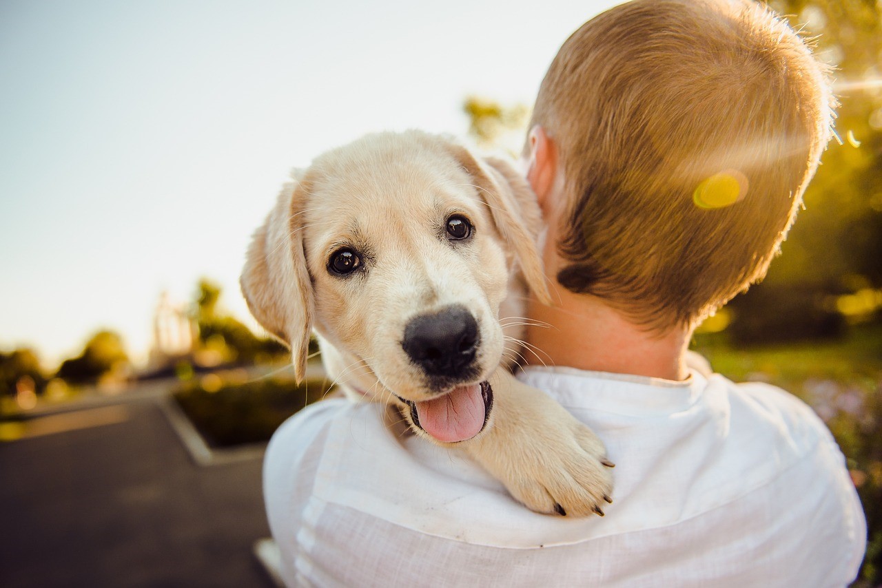 My Dog’s Embarrassing Crush on the Mailman